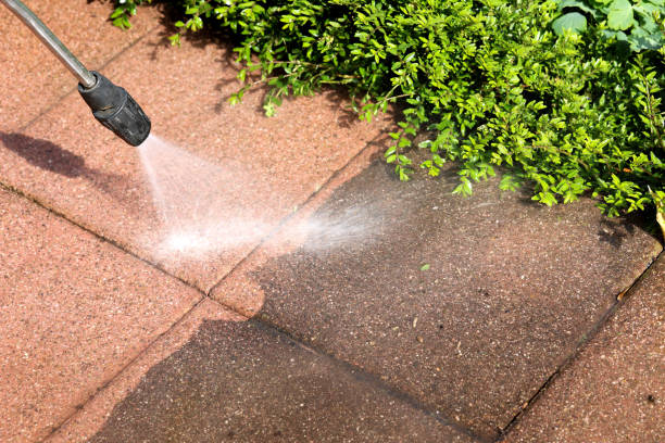 Best Fence Pressure Washing  in Henning, TN