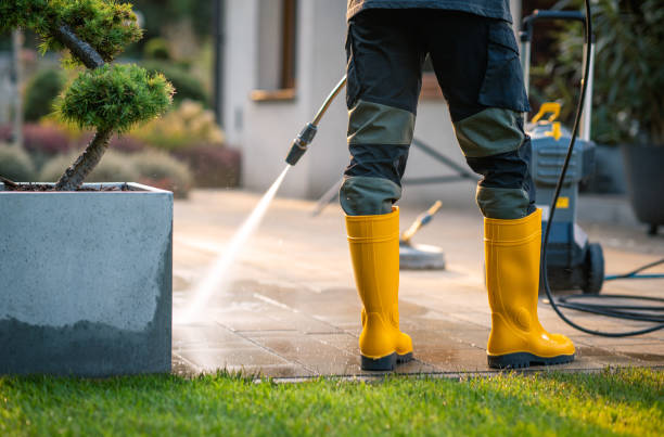 Best Pressure Washing Siding  in Henning, TN